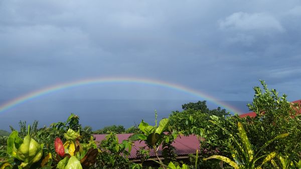 Appartement à 70m du lagon de Ste Anne en Guadeloupe Caraibes