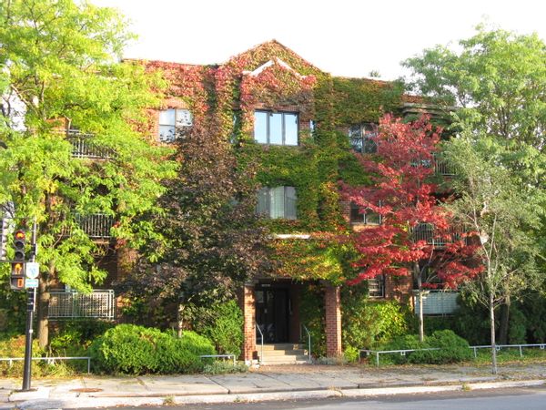 Le condo de Dominique