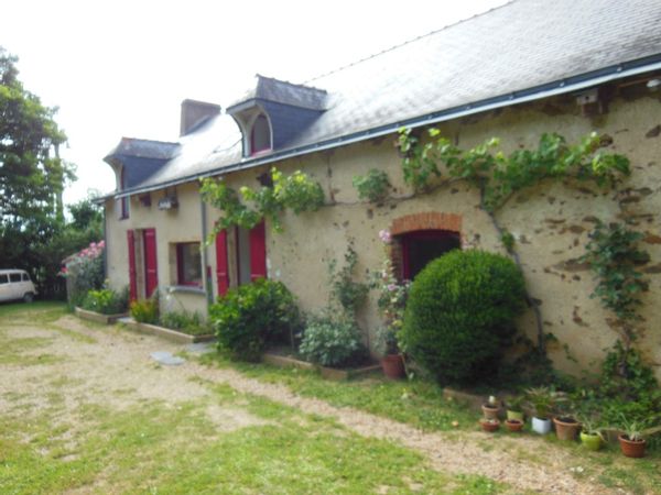 Charmante longère au coeur des vignes d'Anjou, vallée de la Loire.