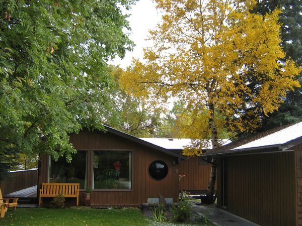 La maison de Shaun