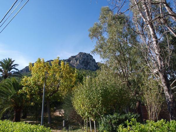 La maison de Marta
