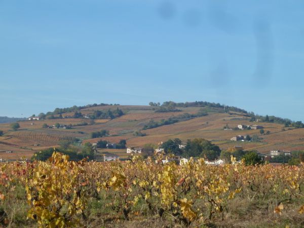 Maison au coeur du beaujolais