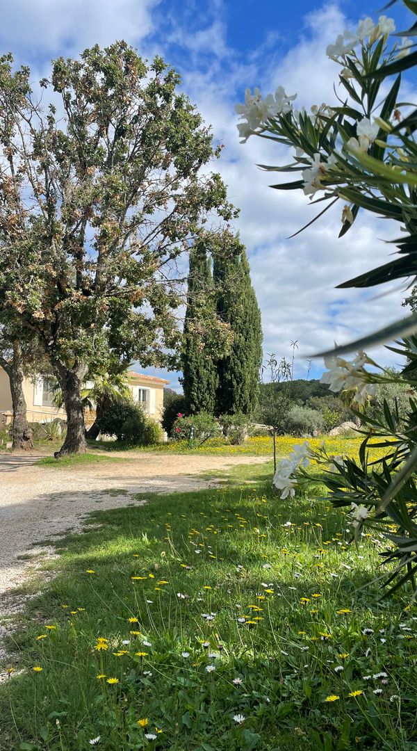 Appartement dans une jolie maison provençale