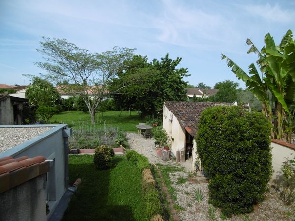 Maison avec jardin et chats à 10km d’Albi