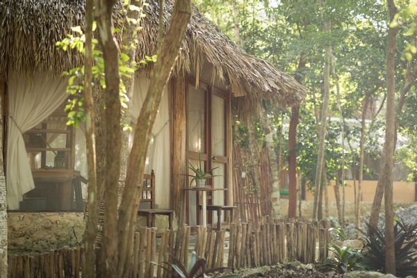 MELI-MELO JUNGLE HOUSE