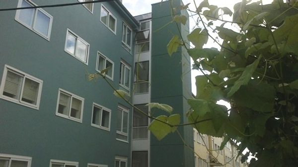 Mi casa