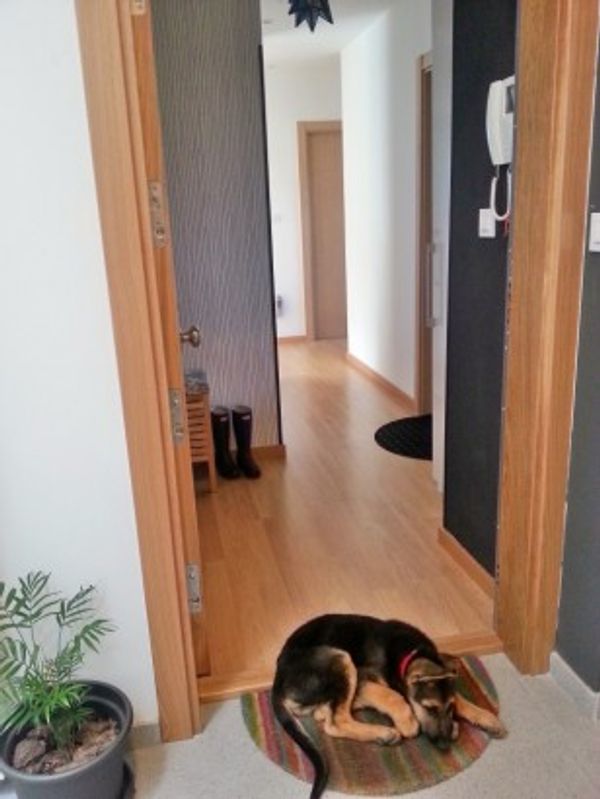 appartement à Durango, España