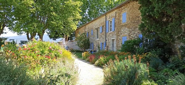 A l'ombre du pin dans un Mas provençal