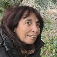 La Bergerie et ses grands chênes accueil à la ferme.