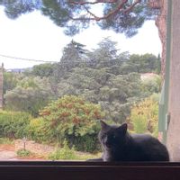 Petit appartement indépendant sans cuisine