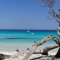 Corse appartement 30 m2 rez de villa 4 personnes 1 chambre, 1 salle de bain , terrasse vue mer et montagne .idéalement situé :proche plages, rivières, bastia, Saint Florent. Situé à Biguglia, France