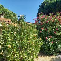 La maison de La Biroire