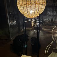 Villa Taroudannt Maroc