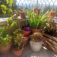 La maison en Provence.  Échanges conclus pour l'été 2026