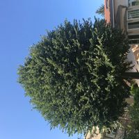 Lovely house with swimming pool, closed to Lyon !