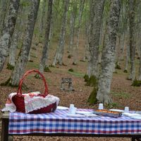 La maison de Liana