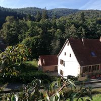 Petit appartement au calme, grand jardin au milieu de la forêt