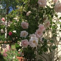 Une maison avec jardin près de Paris