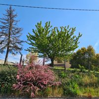 Maison avec jardin