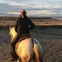 Cabane de Gardian (Merci de bien lire l'annonce)