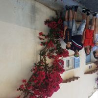 La maison des cigales