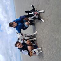 La maison de Lyan, Noah y Merle