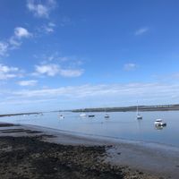 Grande maison et jardin clos , entre Broceliande et la mer .