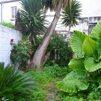 La maison de Irene