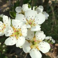 L appart à Perpi