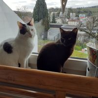La maison de Beatrix