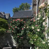La maison de Mette
