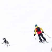 Le chalet de Aurelie