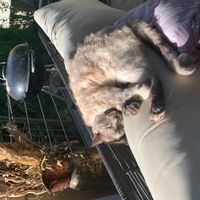 Bienvenue chez Hélène et Guillaume