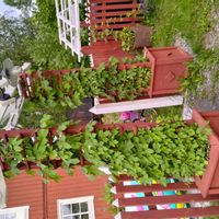 La maison de Linnéa