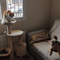 La maison de Ana
