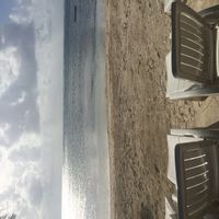 Be On The Beach-TURTLE