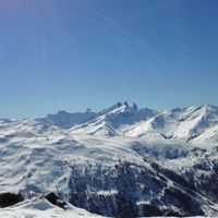 Les Vivis, avenir 2