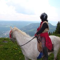 Grande yourte au pied de massifs forestiers, en Ferme équestre