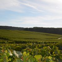 Le Clos de Champrot