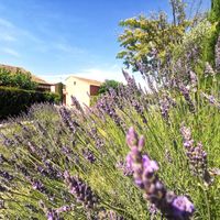 Mazet en Provence