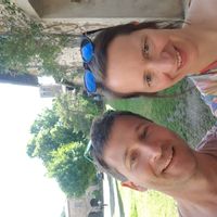 Mas au milieu des oliviers dans les Alpilles, Provence