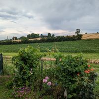 La maison de Pompon !