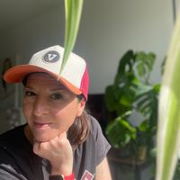 Appart Jungle et coloré, ici nous aimons les plantes, la musique et les toutous !