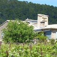 Vieux mas au milieu des vignes