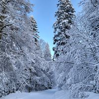 Chalet en bois à la montagne dans les Vosges Française
