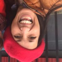 Les fenêtres sur les platanes