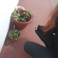 La maison de Tatiana