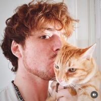 L'appartement de Aril et Gizmo