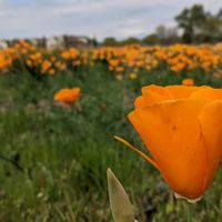 La maison de Michelle