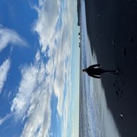 Résidence Pool Spa Jaccuzi Sauna Tivat Montenegro